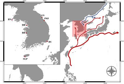 Integrative Description of Cryptic Tigriopus Species From Korea Using MALDI-TOF MS and DNA Barcoding